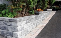 BAY39 Basalt